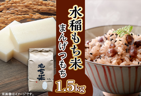 605 【令和7年産】水稲もち 1升 1.5kg
