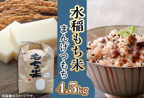607 【令和7年産】水稲もち 3升 4.5kg
