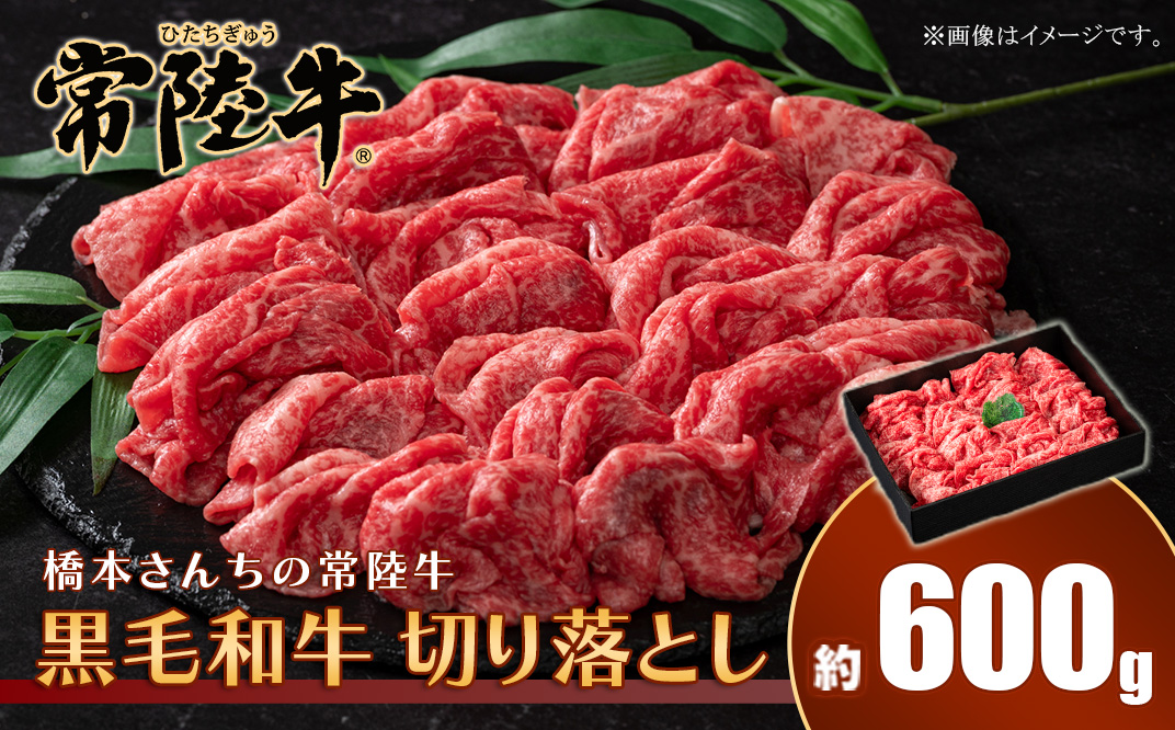 653 橋本さんちの常陸牛 黒毛和牛 切り落とし 600g【トキワフーズ】