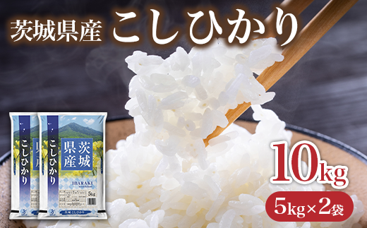 734 茨城県産 こしひかり 米 10kg (5kg×2袋)【石崎商店】