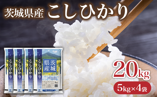 736 茨城県産 こしひかり 米 20kg (5kg×4袋)【石崎商店】