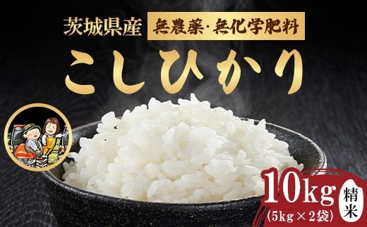 743 茨城県産 こしひかり 10kg (5kg×2袋) 無農薬 無化学肥料 令和7年産 精米【米農家もろちゃん】