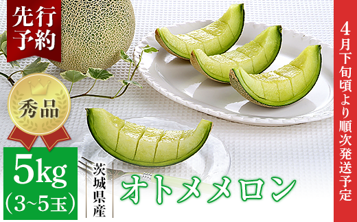 082-2 オトメメロン 秀品 3～5玉 約5kg 茨城県 JA水戸産