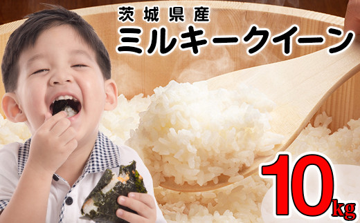 【令和7年産】ミルキークイーン 精米 10kg 5kg × 2袋 茨城県産 小松崎商事 440