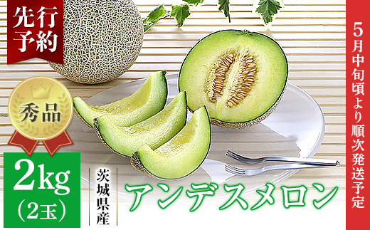 007-1 アンデスメロン 秀品 2玉 約2kg 茨城県 JA水戸産