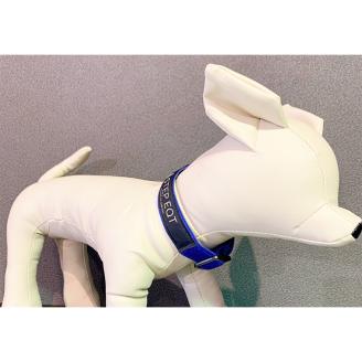 ペット用ネックバンド STEP EQT 転倒防止 ブルー Sサイズ 犬 猫 ペット 首輪 ペット用品 足腰サポート