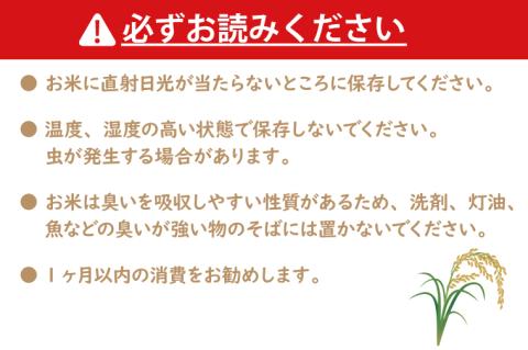 令和7年産 無洗米 茨城 コシヒカリ 10kg (5㎏×２袋) 新米 米 お米 おこめ 白米 ライス ご飯 精米 こしひかり 国産 茨城県産
