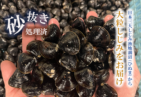 涸沼産 大粒 冷凍 シジミ 1.6kg （400ｇ×4袋） しじみ 蜆 大和しじみ ヤマトシジミ 大玉 砂抜き済 冷凍 味噌汁 スープ 魚貝類 貝 オルニチン コハク酸 小分け