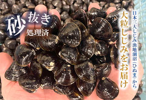 涸沼産 大粒 冷凍 シジミ 1.5kg 干物 3点セット （サバ ホッケ 金目鯛） しじみ 蜆 大和しじみ ヤマトシジミ 大玉 砂抜き済 冷凍 味噌汁 スープ 魚貝類 貝 オルニチン コハク酸 サバ ホッケ キンメ 小分け