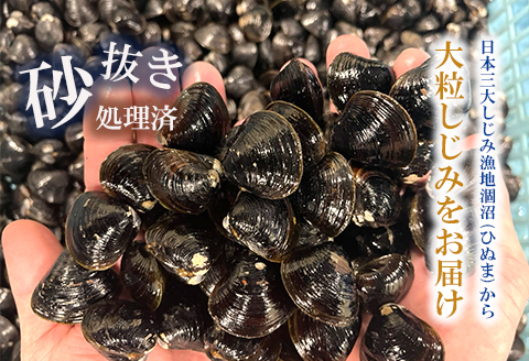 涸沼産 大粒 冷凍 シジミ 3.2kg （400ｇ×8袋） しじみ 蜆 大和しじみ ヤマトシジミ 大玉 砂抜き済 冷凍 味噌汁 スープ 魚貝類 貝 オルニチン コハク酸 小分け