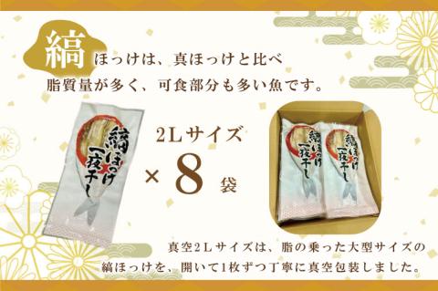 縞ほっけ 開き 一夜干し 真空パック 2Lサイズ 1枚 × 8袋 縞 ほっけ ホッケ 法華 開き 干物 加熱用 おかず 大洗 魚 魚介