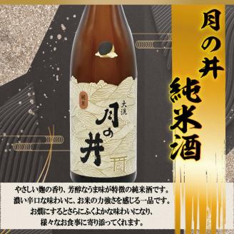 日本酒 純米酒 日本酒 仕込み 梅酒 2本 セット 月の井 大洗 地酒