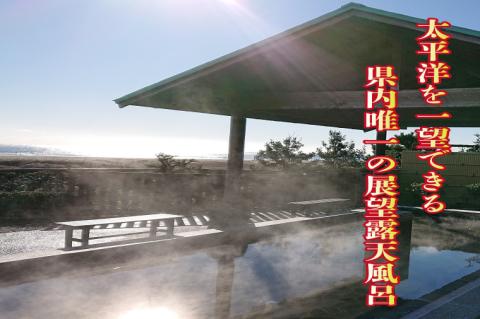 天然温泉 潮騒の湯 クーポン券 3000円分（1000円×3枚） 露店風呂 サウナ おんせん 大洗サンビーチ 海鮮 魚介 食事 宿泊 チケット 利用券 アウトドア 旅行