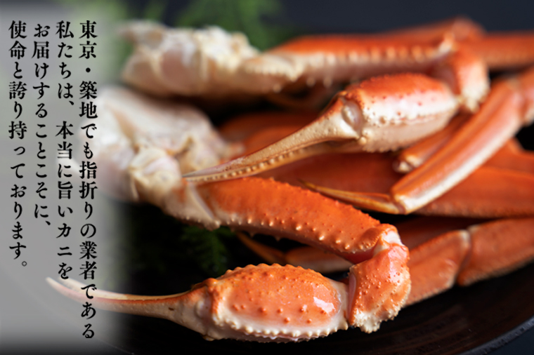 【12月25日決済確定分まで年内発送】ボイル 本ずわいがに 2肩 500g × 1 カジマ ずわい蟹 ズワイガニ ずわいがに かに カニ 蟹