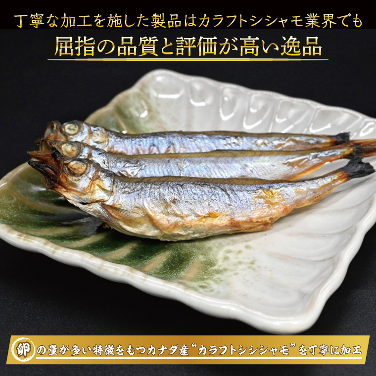 ししゃも 子持ち カラフトシシャモ 超特大 5尾 5パック 子持ちシシャモ カラフトししゃも 大洗 焼くだけ 簡単調理