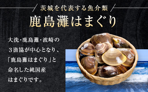 大洗産鹿島灘天然はまぐり 3㎏ 冷蔵 お吸い物 ハマグリ 蛤 貝 砂抜き処理 魚介類 大洗産 天然 はまぐり