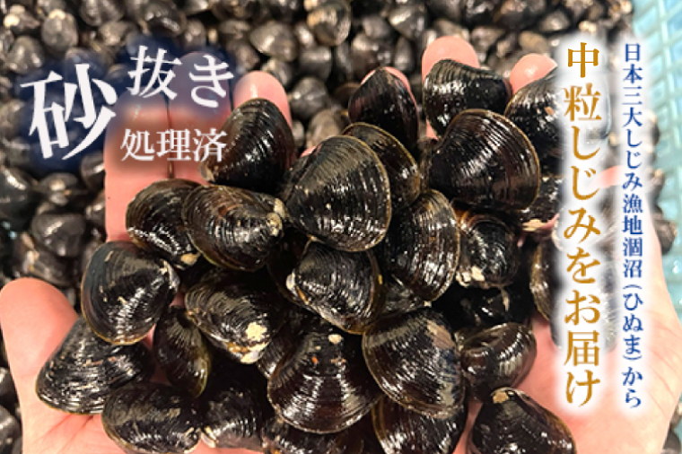 訳あり 涸沼産 中粒 冷凍 シジミ 2.4kg （400ｇ×6袋） しじみ 蜆 大和しじみ ヤマトシジミ 大玉 砂抜き済 冷凍 味噌汁 スープ 魚貝類 貝 オルニチン コハク酸 小分け わけあり 訳ア