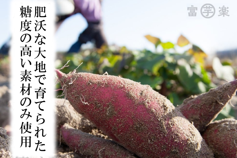 【先行予約】干し芋屋のさつまいも 熟成 紅はるか 生芋 5kg 無添加 無着色 茨城県産 サツマイモ 土付き 芋 さつまいも さつま芋 薩摩芋 紅遥 べにはるか