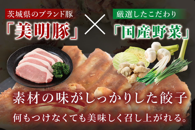 冷凍餃子 80個（20個×4袋） ブランド豚 「 美明豚 」（茨城県共通返礼品・行方市産） 小分け 餃子 ギョウザ 国産 豚肉 野菜 惣菜 おかず フライパン