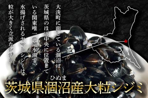 涸沼産 大粒 シジミ 1kg しじみ 蜆 大和しじみ ヤマトシジミ 大玉 冷蔵 味噌汁 スープ 魚貝類 貝 オルニチン コハク酸 魚介類