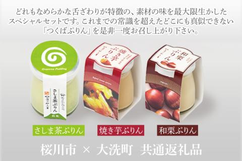 つくばぷりん アソート 6個セット ( 桜川市 × 大洗町 共通返礼品 ） 奥久慈卵 卵黄 濃厚 とろける プリン ぷりん 和栗 焼き芋 さしま茶 スイーツ デザート 洋菓子 お菓子 おかし 乳製品