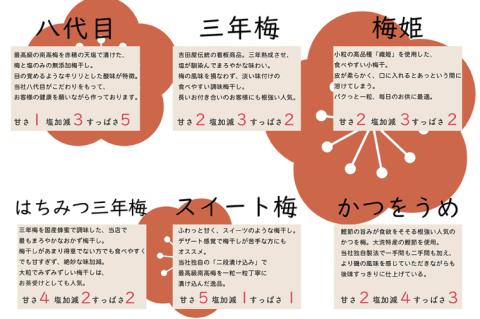 吉田屋こだわり梅干お試しセット 昔ながら 老舗 伝統 国産 大洗 大洗町 梅干し 梅干 梅 うめぼし うめ