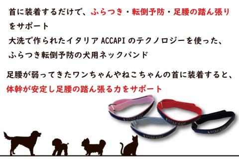 ペット用ネックバンド マジックテープ式 STEP EQT 転倒防止 レッド XSサイズ 犬 猫 ペット 首輪 ペット用品 足腰 サポート