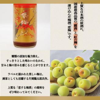 純米酒 日本酒 仕込み 梅酒 恋梅 720ml 2本 セット 月の井 大洗 地酒 国産梅 茨城