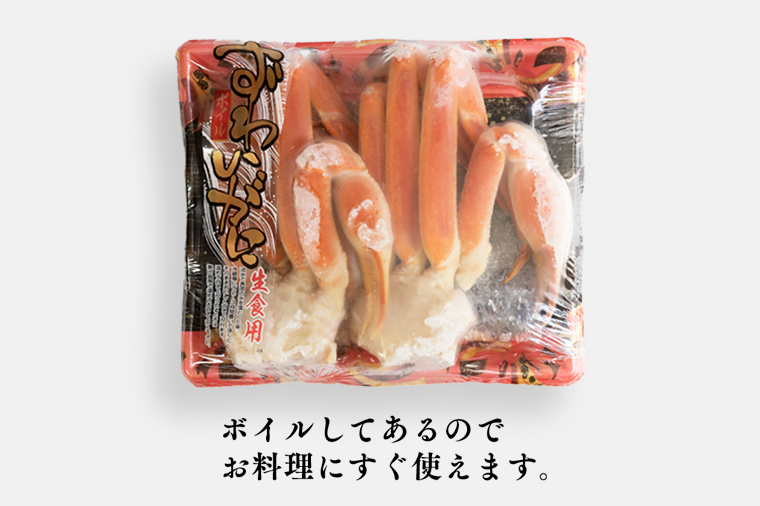 【12月25日決済確定分まで年内発送】ボイル 本ずわいがに 2肩 500g × 1 カジマ ずわい蟹 ズワイガニ ずわいがに かに カニ 蟹
