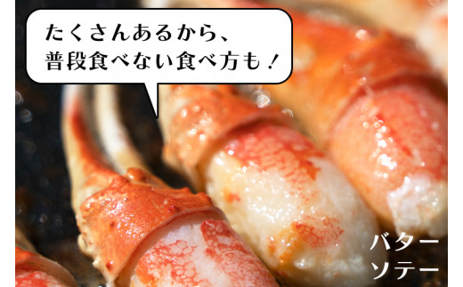 ボイル 本ずわいがに 爪 500g×1 カジマ ずわい蟹 ズワイガニ ずわいがに かに カニ 蟹 かに爪 カニ爪