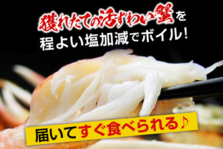 【12月25日決済確定分まで年内発送】カジマ×ますよね！ ボイル 本ズワイガニ足 3kg！ ズワイガニ ズワイ蟹 ずわい かに かに足 蟹足 足 かに脚 蟹脚 脚 かに鍋 蟹鍋 かにしゃぶ 蟹しゃぶ