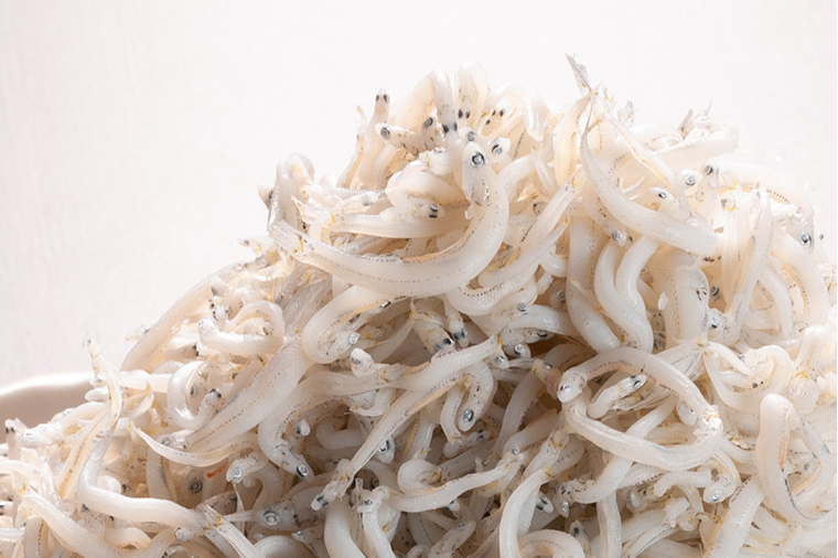 大洗ブランド認証品 しらす干し 300g 大洗産 冷凍 茨城 国産 しらす