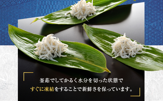 釜揚げしらす 6パック ( 160g × 6パック ) 約 1kg 天然 大洗 しらす シラス 魚 さかな 離乳食しらす干し 白洲 ごはん 丼 惣菜 おかず 弁当 国産 大洗町産 冷凍 名産 特産 魚介 海鮮 しらす シラス 白洲 釜揚げしらす 釜揚げシラス 釜揚げ白洲 しらす 小分け シラス