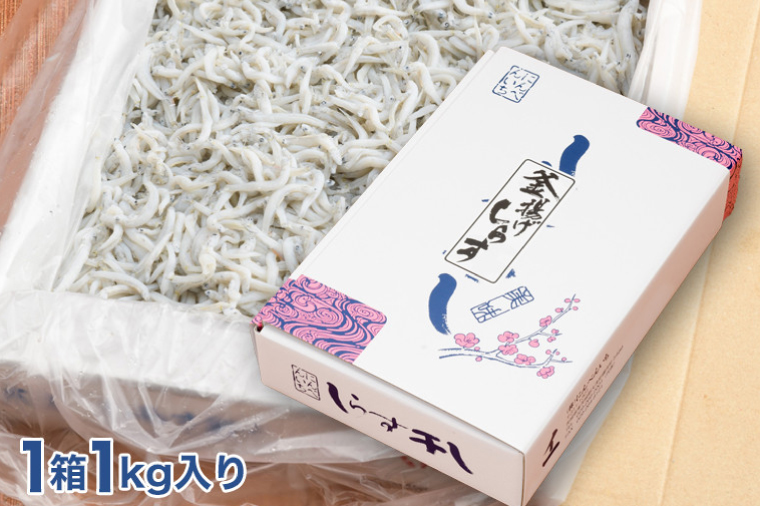 定期便 釜揚げしらす (1kg×5か月) 天然 釜揚げ ふっくら しらす シラス 魚 さかな 魚介 離乳食