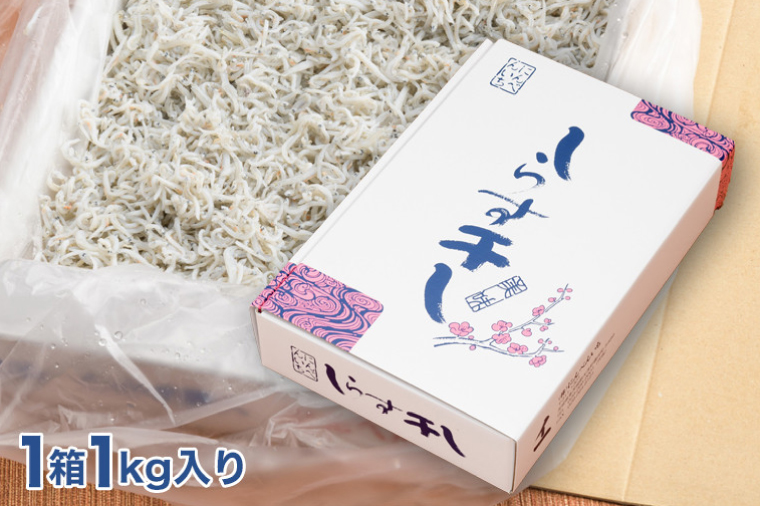 定期便 しらす干し (1kg×10か月) 天然 ふっくら 大洗 名産 しらす シラス 魚 さかな 魚介 離乳食