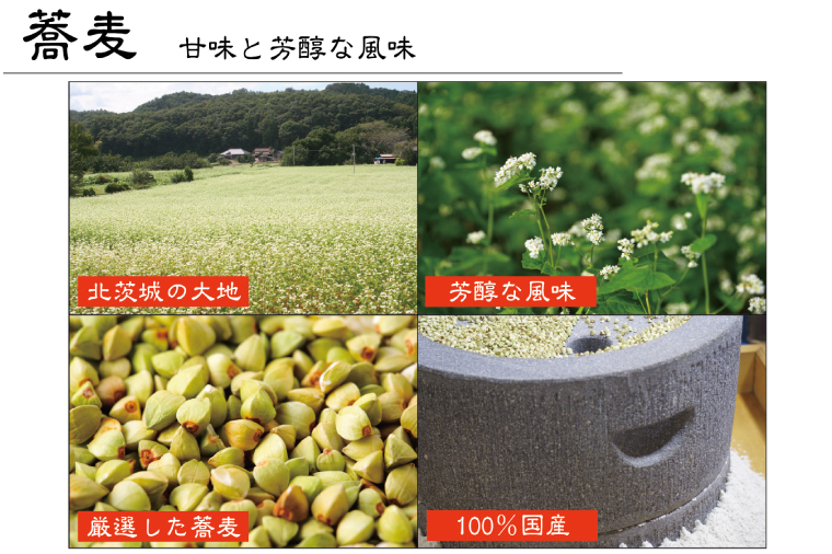 常陸秋そば 手打ち 生蕎麦 4人前 国産 生 そば 蕎麦 寿多庵