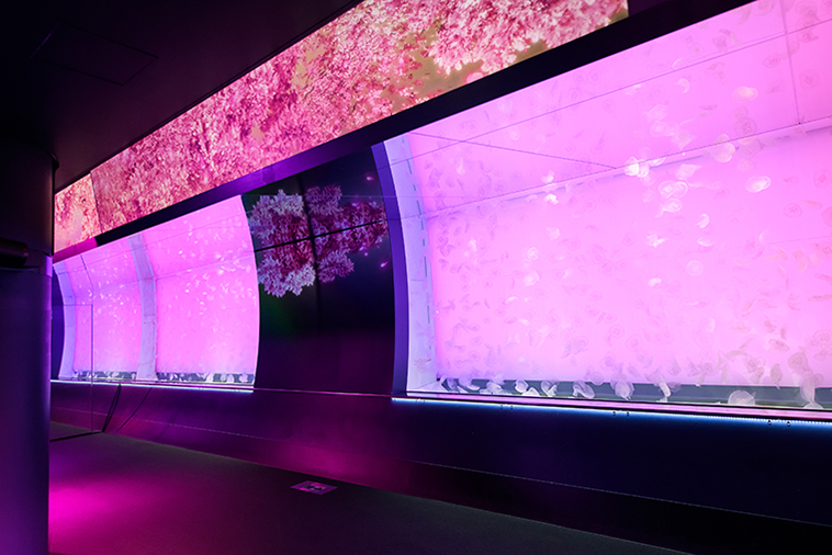 アクアワールド茨城県大洗水族館年間パスポート引換券　大人1名様、小・中学生1名様分