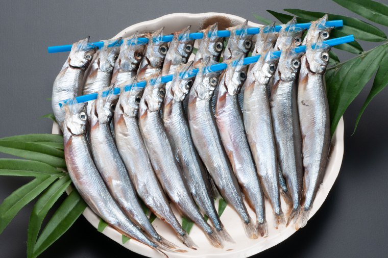 ししゃも 子持ち カラフトシシャモ 特大 40尾（20尾×2箱） 子持ちシシャモ カラフトししゃも 大洗