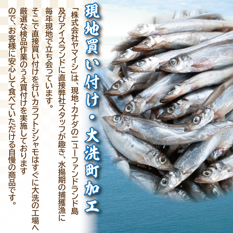 ししゃも 子持ち カラフトシシャモ 超特大 5尾 5パック 子持ちシシャモ カラフトししゃも 大洗 焼くだけ 簡単調理