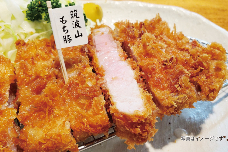 【楽ちん 冷凍とんかつ・牛かつ】【楽ちん 冷凍とんかつ・牛かつ】茨城の旨い肉フルセット！いばらきの恵み詰合せスペシャル（常陸牛かつ×1、雨情の里牛かつ×1、ローズポークロースかつ×1、筑波山もち豚ロースかつ×1、筑波山もち豚ミルフィーユかつ×2、茨城メンチかつ×2）