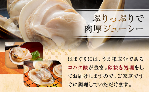大洗産鹿島灘天然はまぐり 2㎏ 冷蔵 お吸い物 ハマグリ 蛤 貝 砂抜き処理 魚介類 大洗産 天然 はまぐり