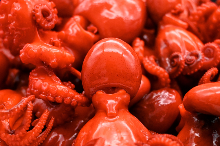 味付けチビたこ からし風味 800ｇ やまさん商店 たこ 蛸 ピリ辛 ちびだこ つまみ 珍味 3箱