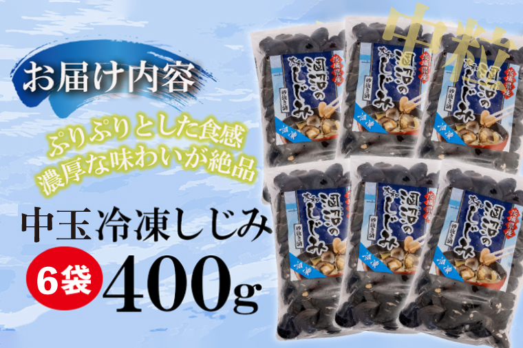 訳あり 涸沼産 中粒 冷凍 シジミ 2.4kg （400ｇ×6袋） しじみ 蜆 大和しじみ ヤマトシジミ 大玉 砂抜き済 冷凍 味噌汁 スープ 魚貝類 貝 オルニチン コハク酸 小分け わけあり 訳ア