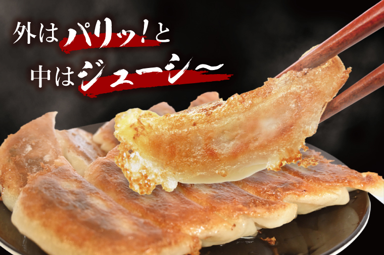 冷凍餃子 40個（20個×2袋） ブランド豚 「 美明豚 」（茨城県共通返礼品・行方市産） 小分け 餃子 ギョウザ 国産 豚肉 野菜 惣菜 おかず フライパン