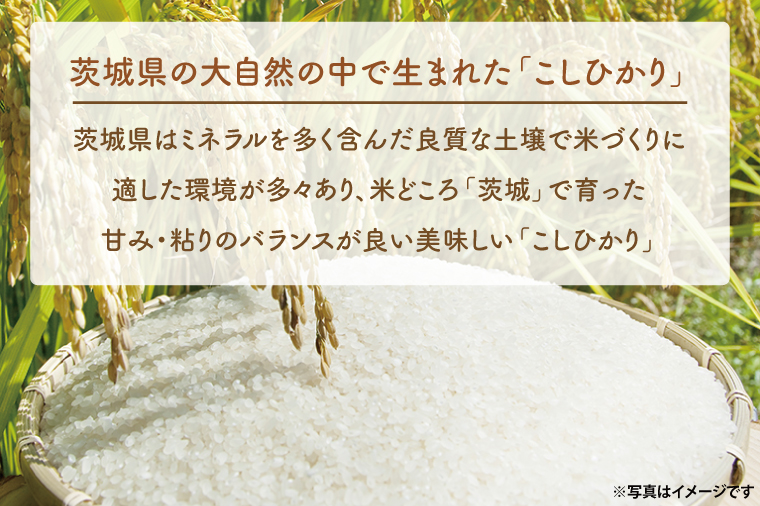 【期間限定・特別寄附額】【3ヵ月定期便】 ＜令和7年産＞ 吟穂豊穣こしひかり 6kg ( 2kg 3袋 ) ×3ヵ月 精米 コシヒカリ こしひかり 米 ごはん コメ お米 白米 国産 茨城県産
