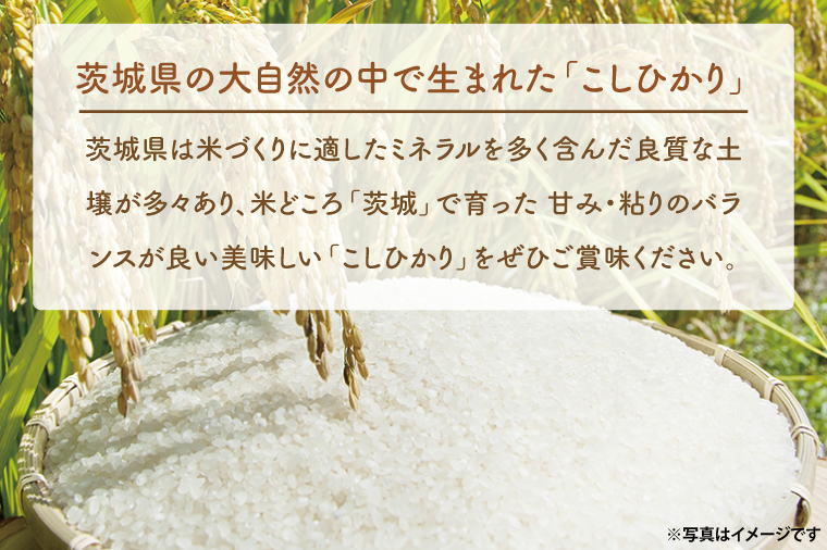 【期間限定・特別寄附額】【6ヵ月定期便】 ＜令和7年産＞ 吟穂豊穣こしひかり 6kg ( 2kg 3袋 ) ×6ヵ月 精米 コシヒカリ こしひかり 米 ごはん コメ お米 白米 国産 茨城県産