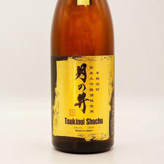 日本酒 仕込 梅酒 恋梅720ml 純米大吟醸 酒粕 焼酎 720ml 2本 セット 酒粕焼酎 国産梅 月の井 大洗 地酒 茨城