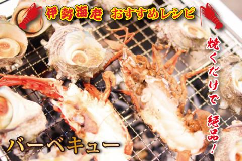 生冷凍 伊勢海老 ハーフカット 700g 冷凍 国産 伊勢エビ イセエビ