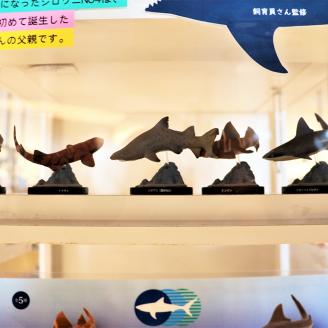 オリジナル フィギュア SHARKS 1st 3個 セット アクアワールド 大洗 飼育員 監修 オリジナル グッズ コレクション 茨城 水族館 鮫  さめ サメ 限定: 大洗町ANAのふるさと納税