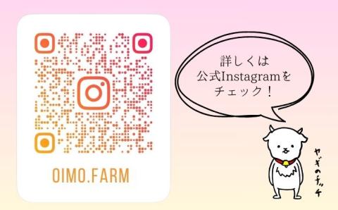 DW001　チッチの干し芋　平干し　1kg（500g×2パック）